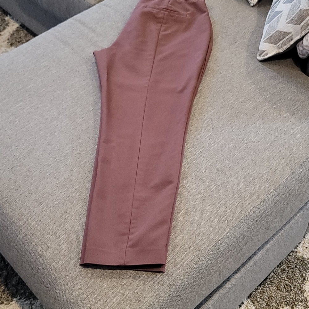 Express Columnist ankle pants